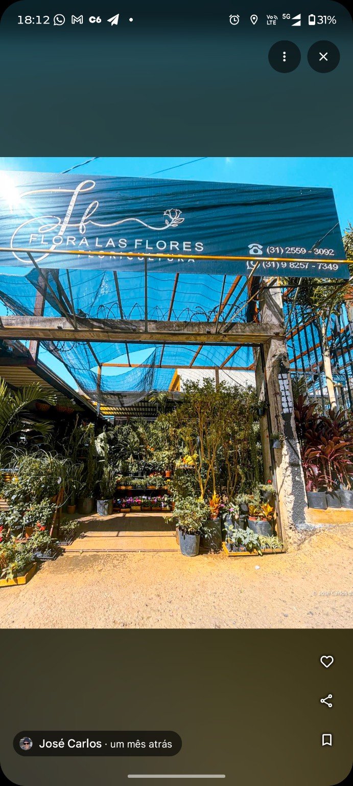 Entrada da Flora Las Flores